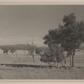[Colly Creek, Quirindi]