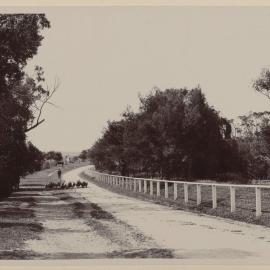Looking down the drive