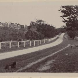 Looking up the drive from stock yards