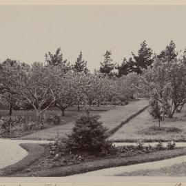 The wheel barrow track