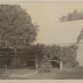 [Vine covered stone walls and hedge at Westerfield]  