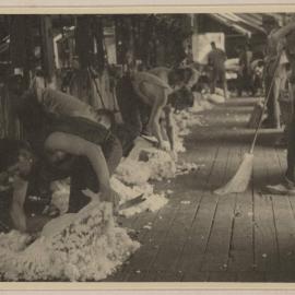 [Sheep shearing,] Barwidgee [northeast Victoria]