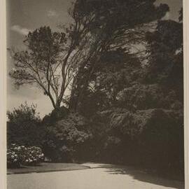 [Miegunyah manicured lawn] 