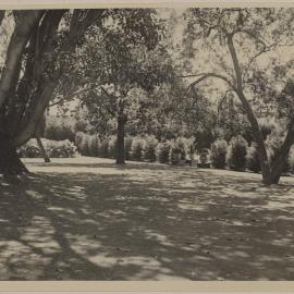 [Display of shadows in the garden at Miegunyah]