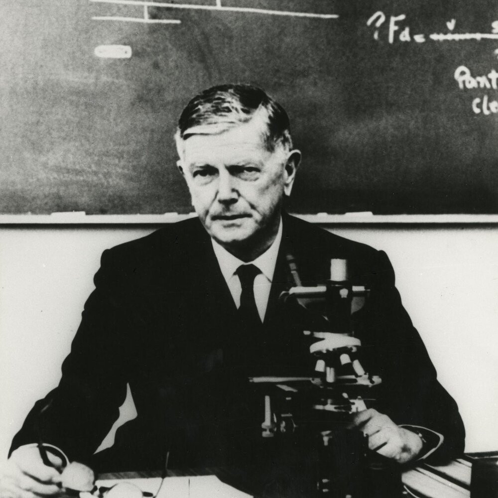 Burnet, Frank Macfarlane