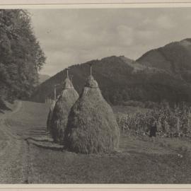 [Hay ricks, Austria]