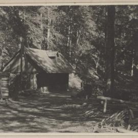 [Wooden cabin in forest, Austria]