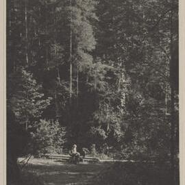 [Mabel Grimwade and companions in a forest in Austria]