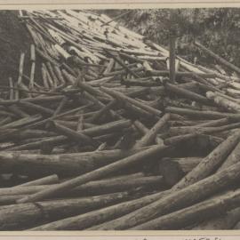 [Logged tree trunks, Austria]