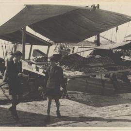 Split [harbour Croatia]