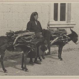 [Donkeys carrying firewood strapped to their backs, Croatia]