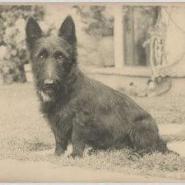 [Andrew Mac, Miegunyah]