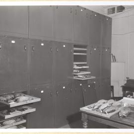 Modern Steel Cabinets housing Bird Collection