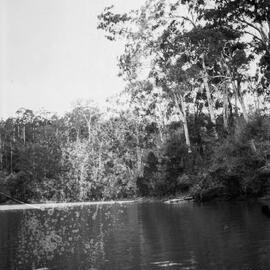 Lake Tyers, the Gippsland Lakes, Victoria