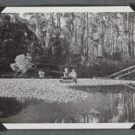 [Two people in a flying fox above river]