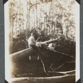 [Mountaineering Club Tasmania man sitting on log]